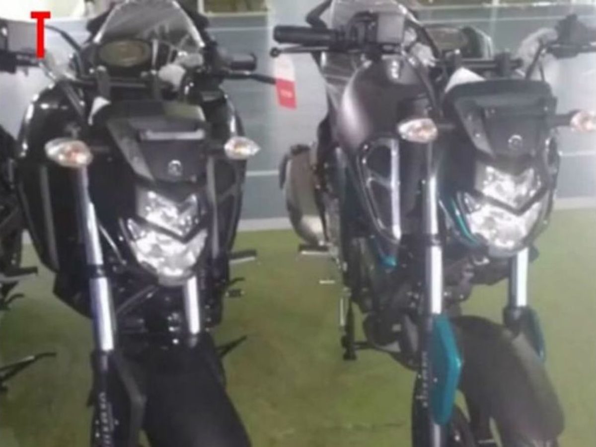 Fz bike deals 2019 model price