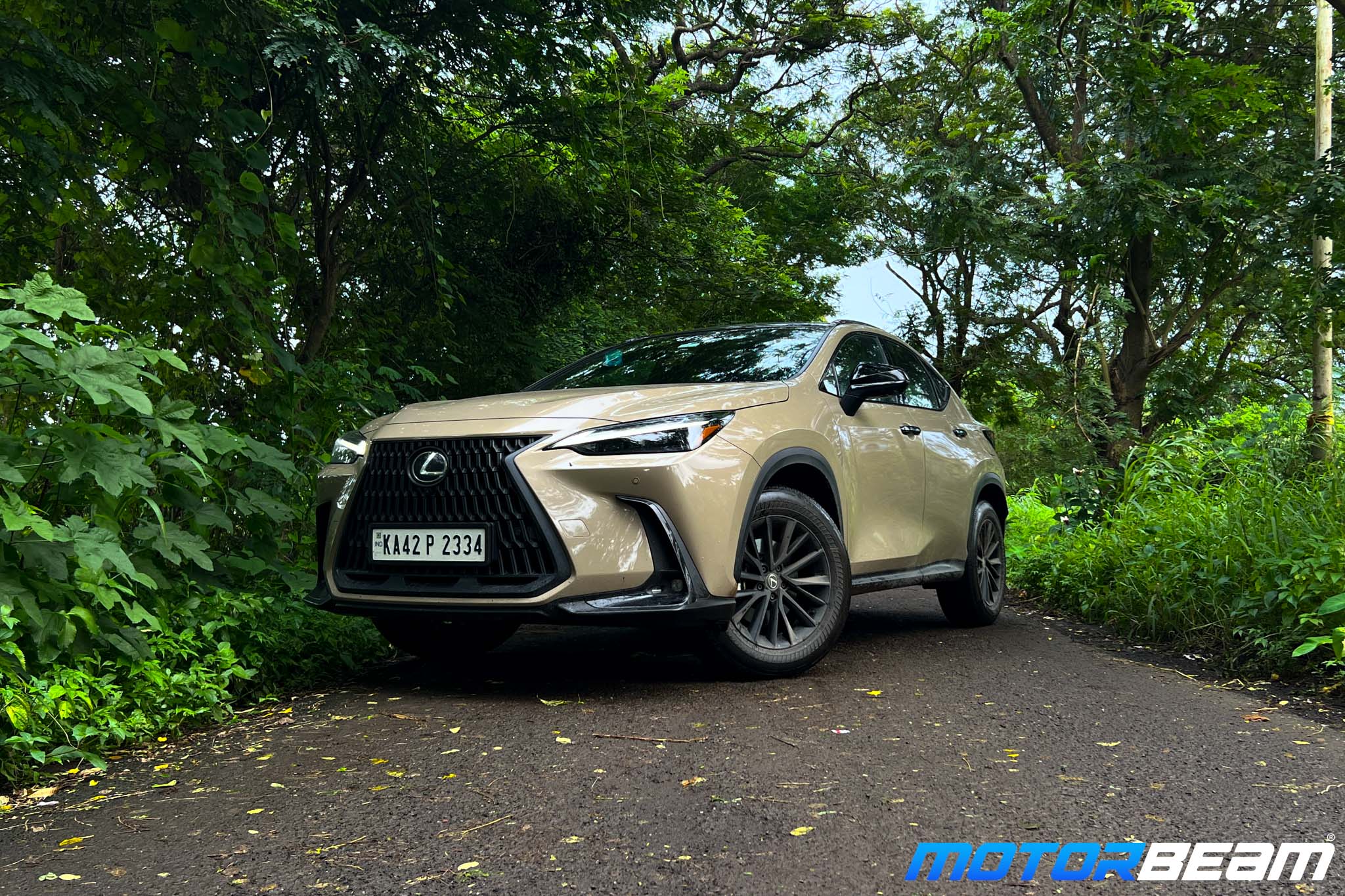 2024-Lexus-NX-Overtrail-4