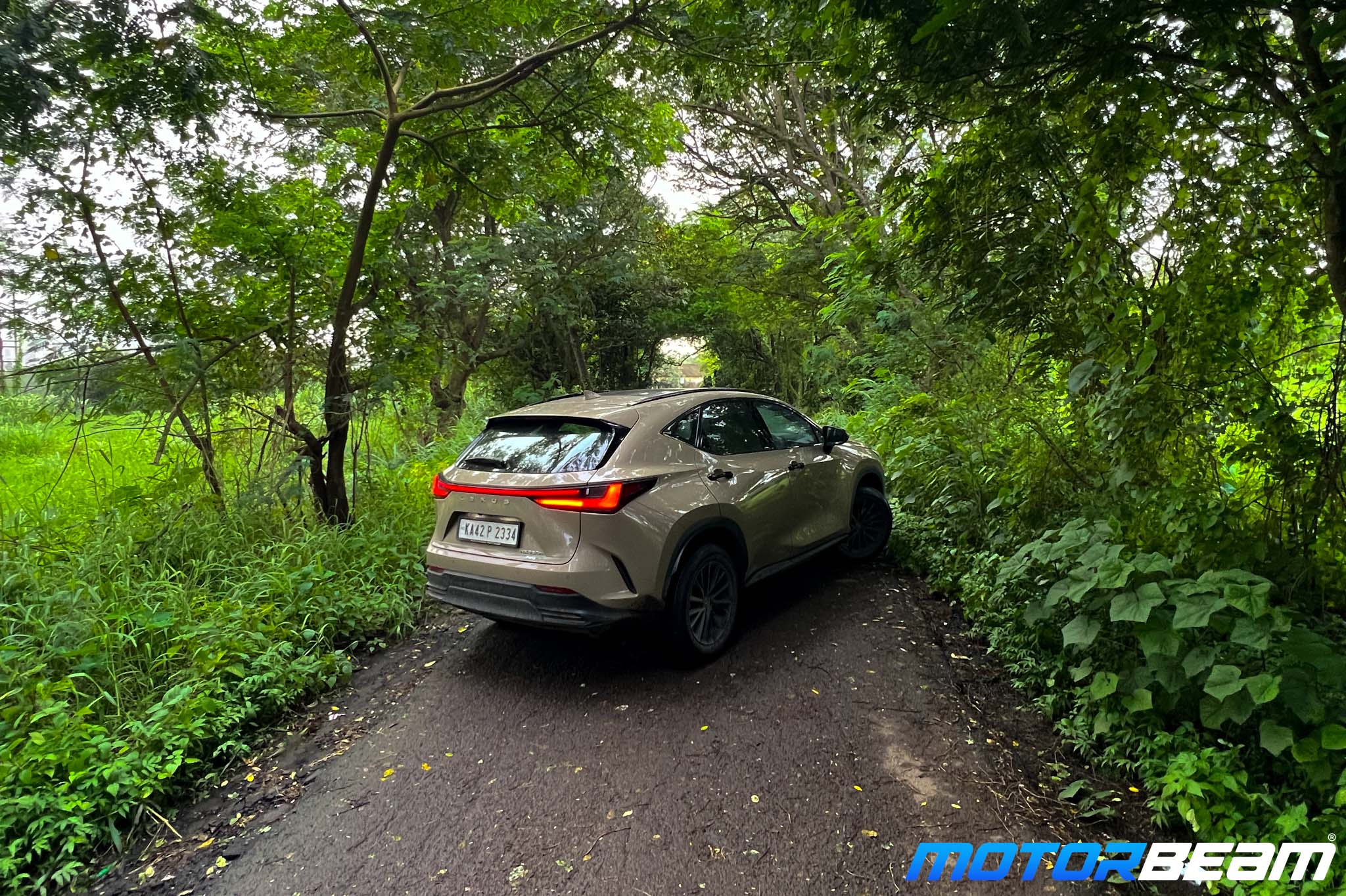 2024-Lexus-NX-Overtrail-5