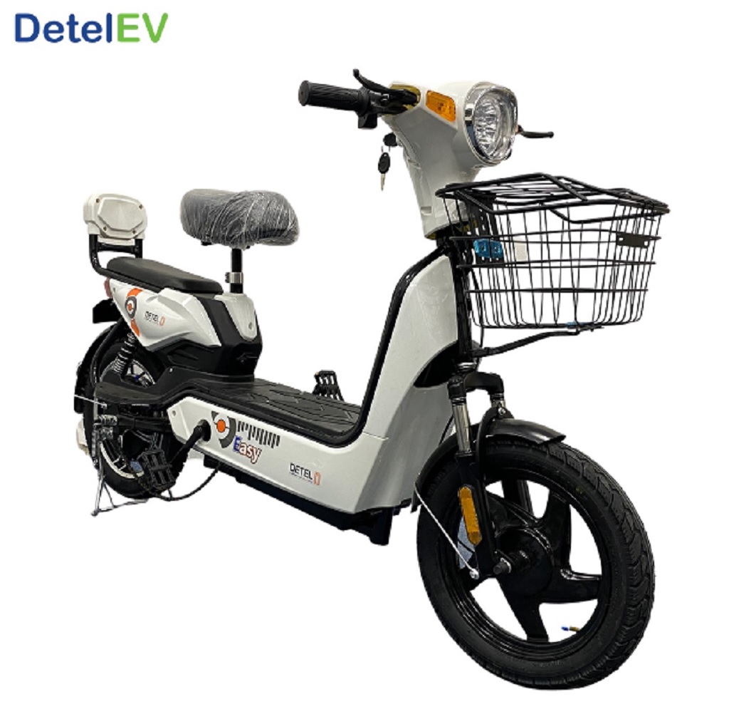 electric vehicle bike price